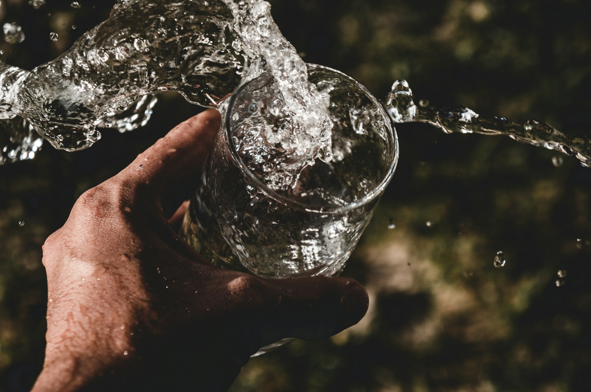 A glass of water